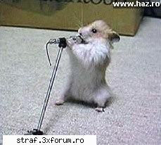 mi-ai furat avatarul fir-ai tu sa fi !! ;) orice :d